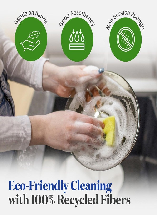 سبونتكس ليفة تنظيف سبونتكس الزرقاء الأساسية المصنوعة من السليلوز (عبوة من 3 قطع) - صديقة للبيئة، متينة، تصميم مزدوج الجوانب للأسطح الحساسة، مصنوعة من ألياف معاد تدويرها بنسبة 100%، إسفنجة قابلة للتحلل الحيوي، ومقبض مريح - Image 3